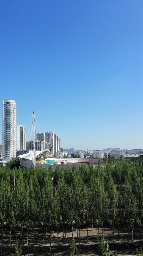 黑龙江省大庆市龙凤区博学大街靠近百湖影视天气预报