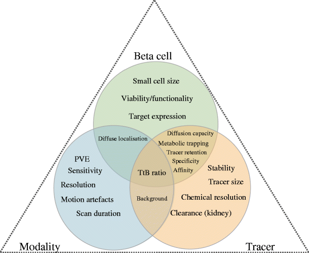 obstacles on the way to the clinical visualisation of beta cells