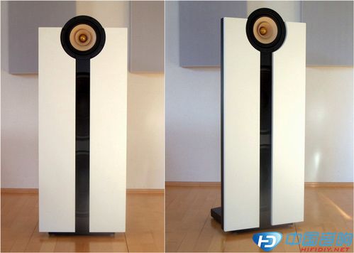 德国hifiakademiedipol障板音箱