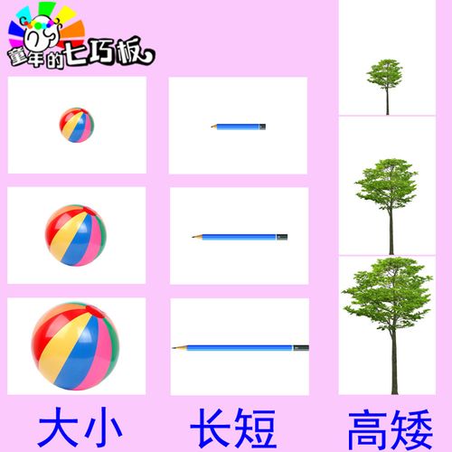 大小 高矮 长短 粗细 多少 比较排序 自闭症 认知aba训练卡片