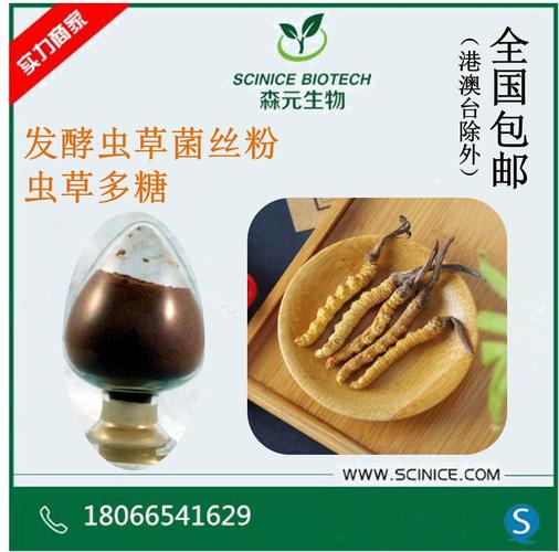 虫草菌粉 发酵虫草菌丝粉 蝙蝠蛾拟青霉菌粉 发酵虫草菌丝体