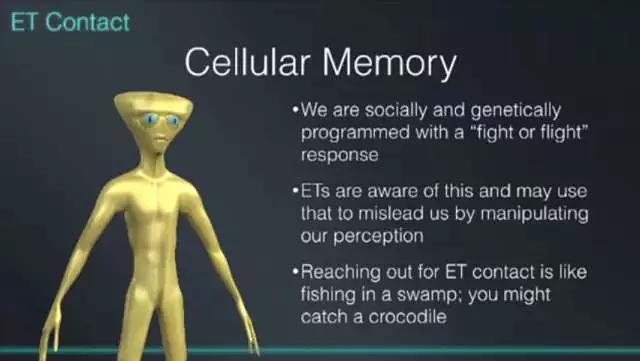 科里·古德 | 2017年意识生命博览会笔记·第三部分