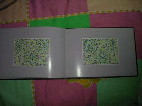 最后告诉大家如何来预防色盲:要从优生优育方面预防色盲男生发生男性