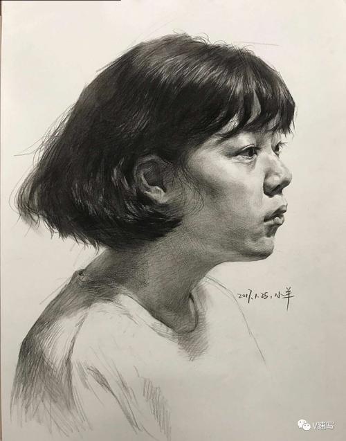 贾小羊素描头像