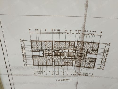 龙光玖钻3—a座核增平面图(一)