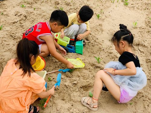 小沙池,大乐趣——奋飞幼儿园中三班玩沙活动