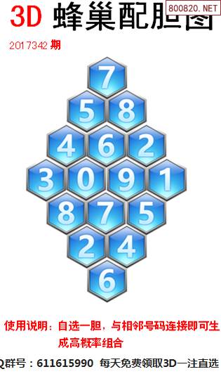 蜂巢图342期迷宫3d送胆蜂巢配胆图谜