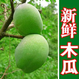 云南野生酸木瓜