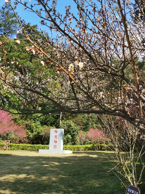 福州鼓山相怀梅园