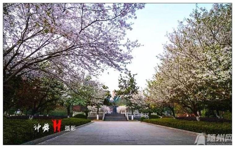 白云公园(摄影:神舞高)