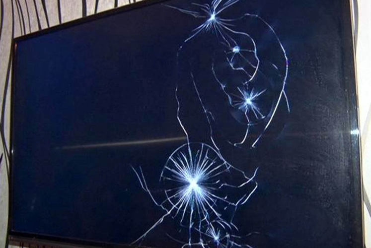 并把家里面砸了,现场看到地上乱七八糟,电视,地板,花盆都被砸坏,人也