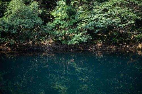 走进宜兴国家森林公园,走近森林消防!