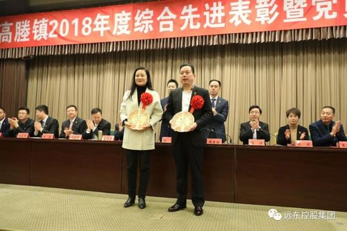 张希兰代表远东接受"高质量发展示范荣誉企业"荣誉