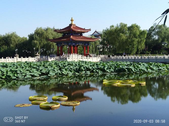 榆林莲花池公园