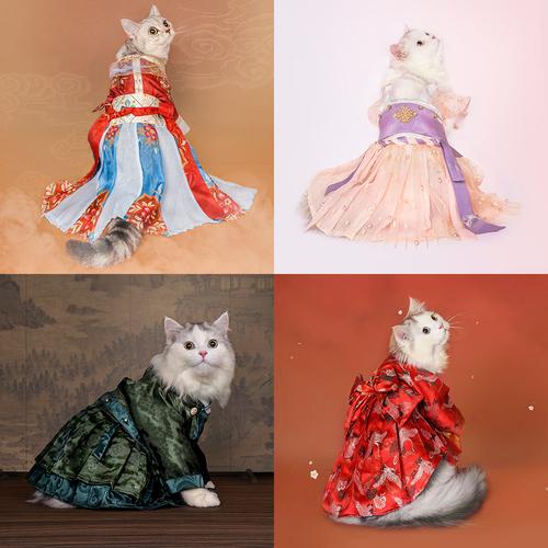 【喵游盛唐灼风华】一拾吾x紫禁御喵房 猫咪汉服