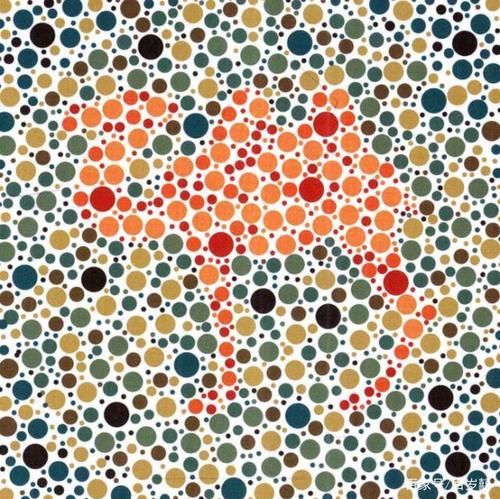 3张色觉测试图,看不出来的话,有可能是色盲