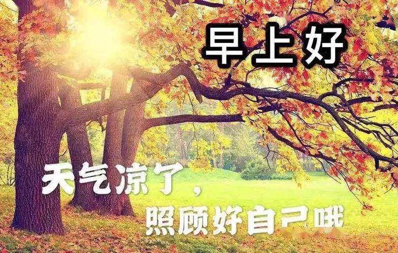 9月11日最美早上好祝福朋友问候语表情图片大全,早晨好问候语录2021