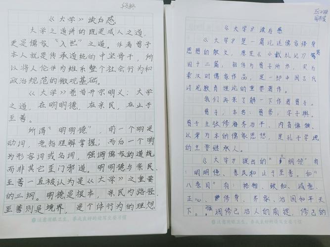 学生书写的《大学》读后感