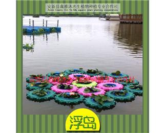 供应南京浮岛种植,浮岛制作,浮岛批发公司,荷花种植技术,睡莲种苗基地
