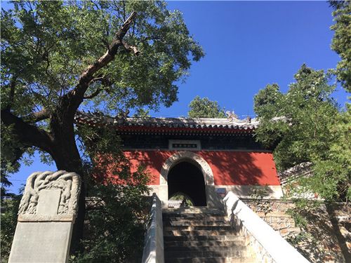 北京八大处——证果寺2017,9,27