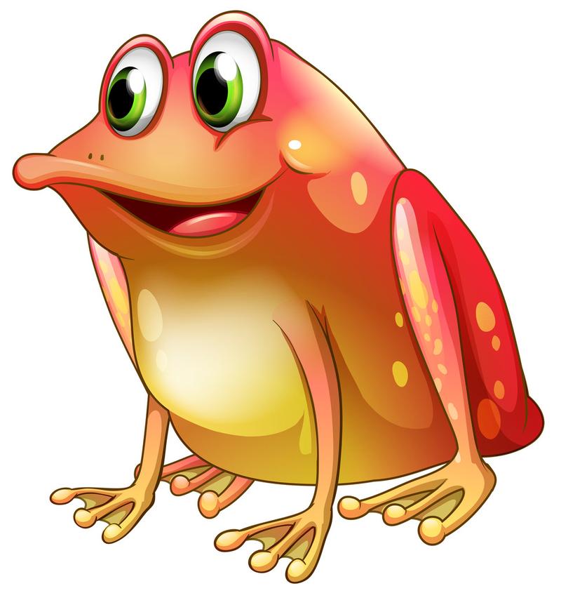 橙色,青蛙,碧眼,插画,白色背景