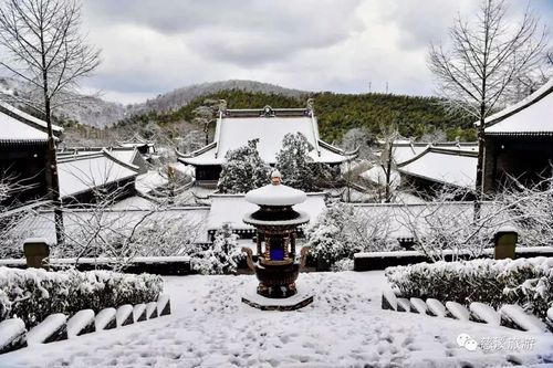 周六,慈溪旅游发了一波达蓬山雪景照,把小伙伴们激动坏了,纷纷表示想