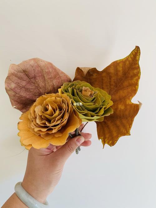 银杏叶玫瑰花_玫瑰花_银杏_秋天去哪玩_秋天的树叶_家居家装_家居装饰