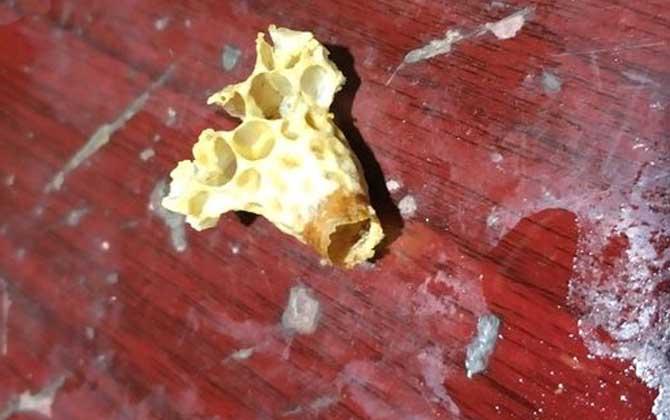 中蜂王台多久看一次?阻止分蜂1周看一次,若要分蜂3天