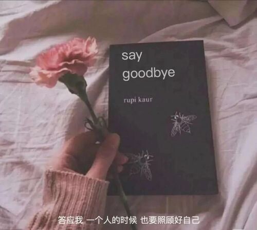 一身傲骨不认输的好文案