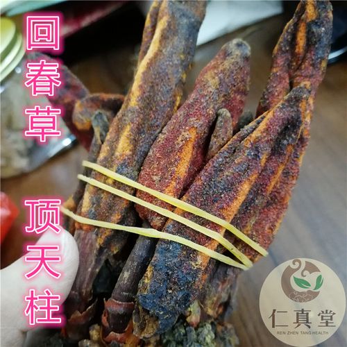 克包邮泡酒料煲汤泡水 500 草丛蓉 不老草 顶天柱 野生中要材回春草