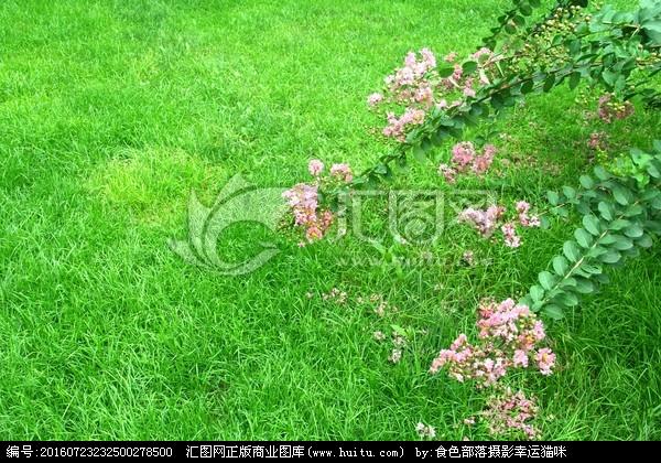 微信快捷登录 查看完整大预览图 用户名登录