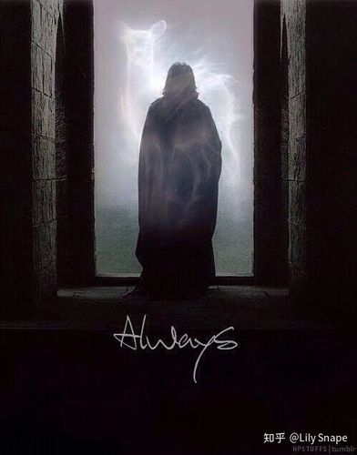 有哪些适合做头像的哈利波特斯内普教授的照片?