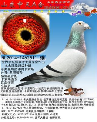 考夫曼