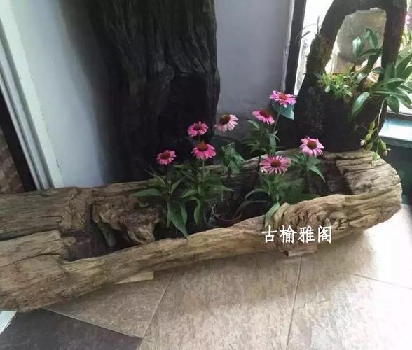 全实木原生态花槽 老木头花盆 多肉花卉盆景风化老木头槽子