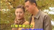 80年代最悲情歌剧《水仙花》歌曲联唱