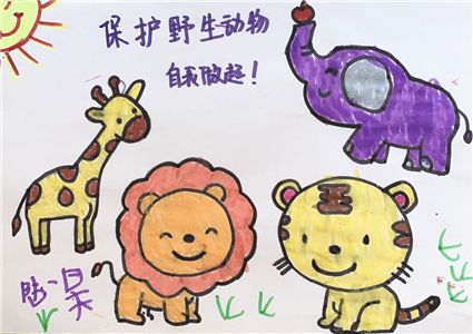 滨州经济技术开发区中海幼儿园:保护野生动植物 呵护美丽家园