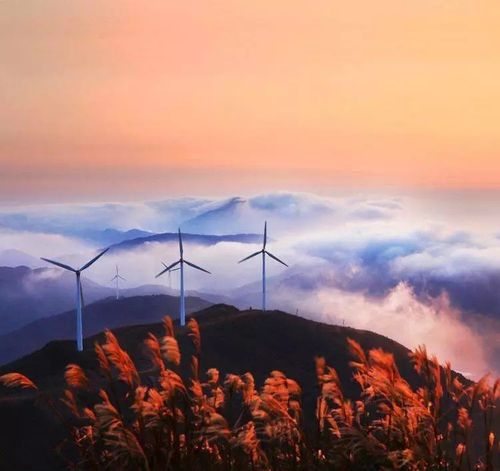 东阳东白山,恍如仙境.(图片来自张杨明,东阳人画家书法家)