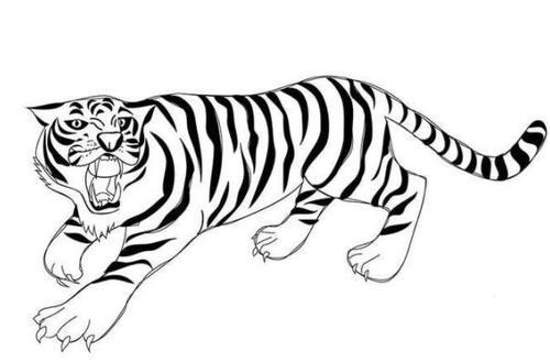 凶猛的大老虎简笔画图片儿童绘画作品图集