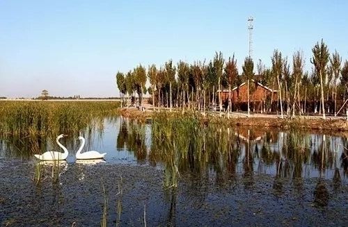 周六周日哈尔滨呼兰河口湿地公园免费开放