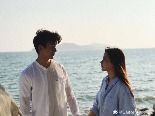 《吹落的树叶》的剧照14