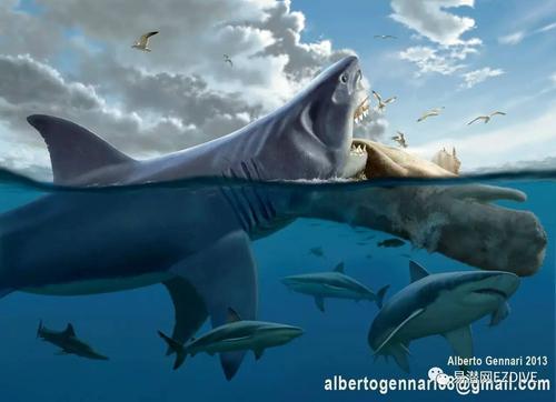 远古海洋生物灭绝只能叹惜现存濒危物种我们一起保护!