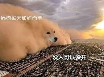 一张舔狗每天如约而至的表情包