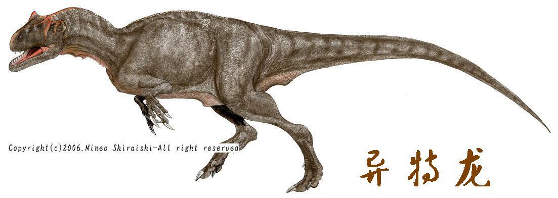 异特龙:肉食性:恐龙类