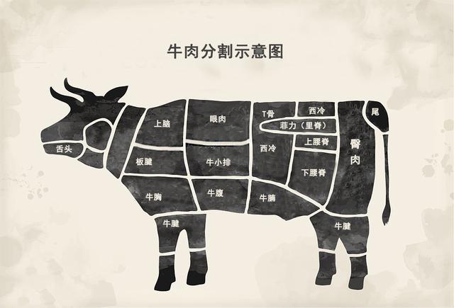 牛肉分割示意图