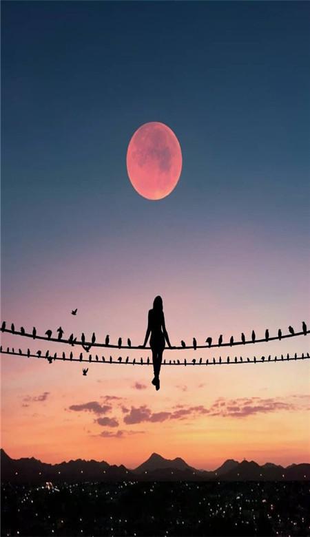 难过伤感的男生深沉手机壁纸 人类的悲欢并不相通