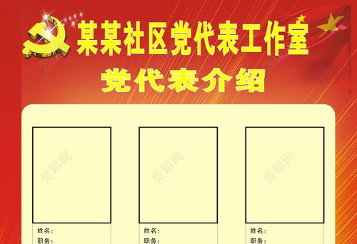 社区党代表工作室党代表介绍表