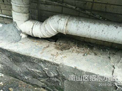 招东小区三单元2栋:对下水管道接地处夹缝进行检查,是否完全密封,有无
