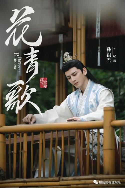 《花青歌》首发剧照 宋伊人丁泽仁情思萦绕