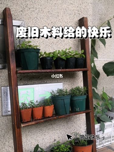 做个简易花架_花架_手工制作_diy_diy手工制作_兴趣爱好_手工