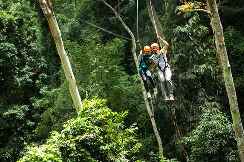 清迈丛林飞跃jungleflightskyline飞鹰丛林飞鼠博岩自选
